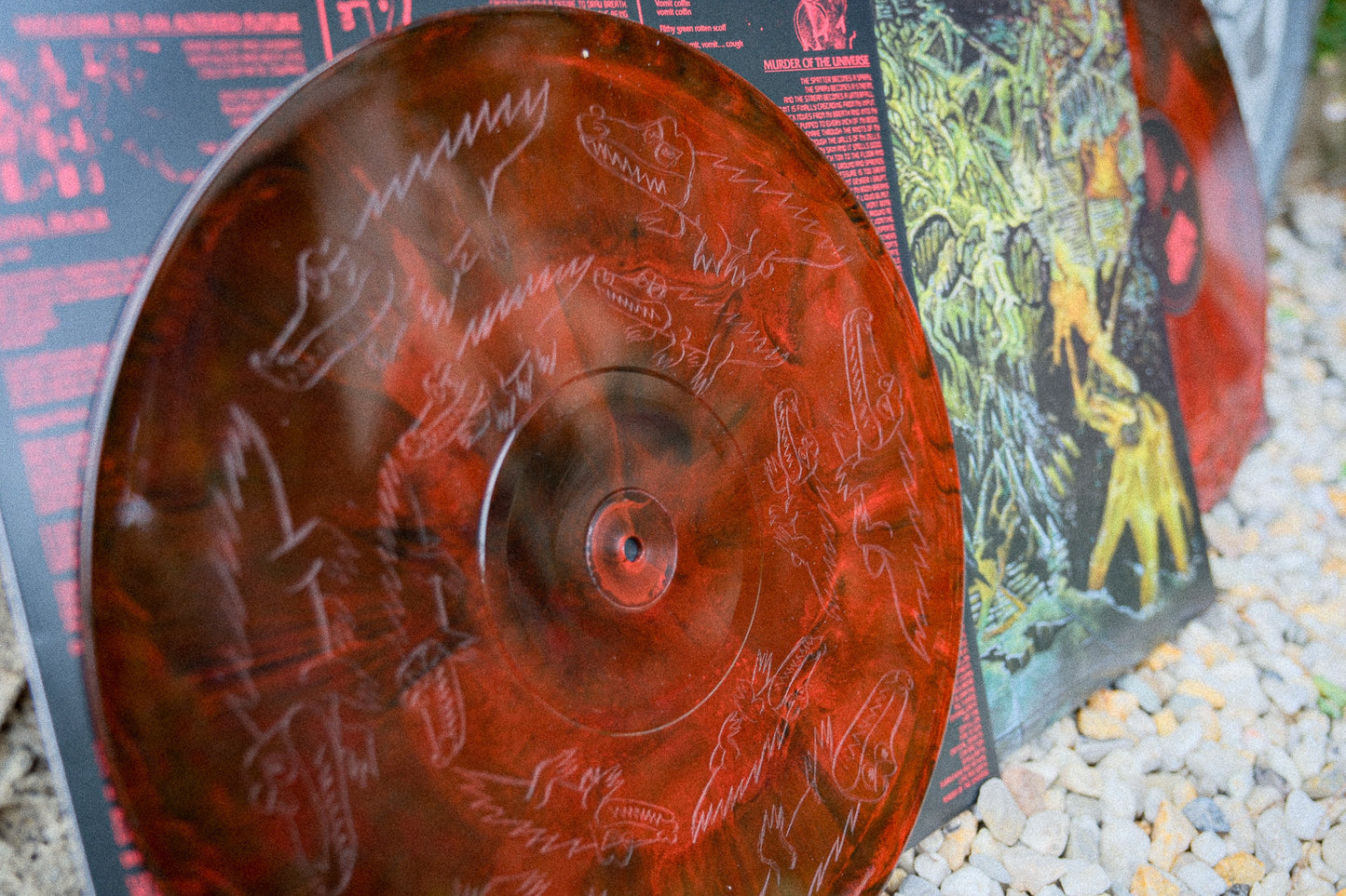 Murder Of The Universe