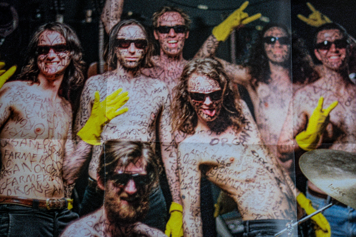 Infest The Rats Nest