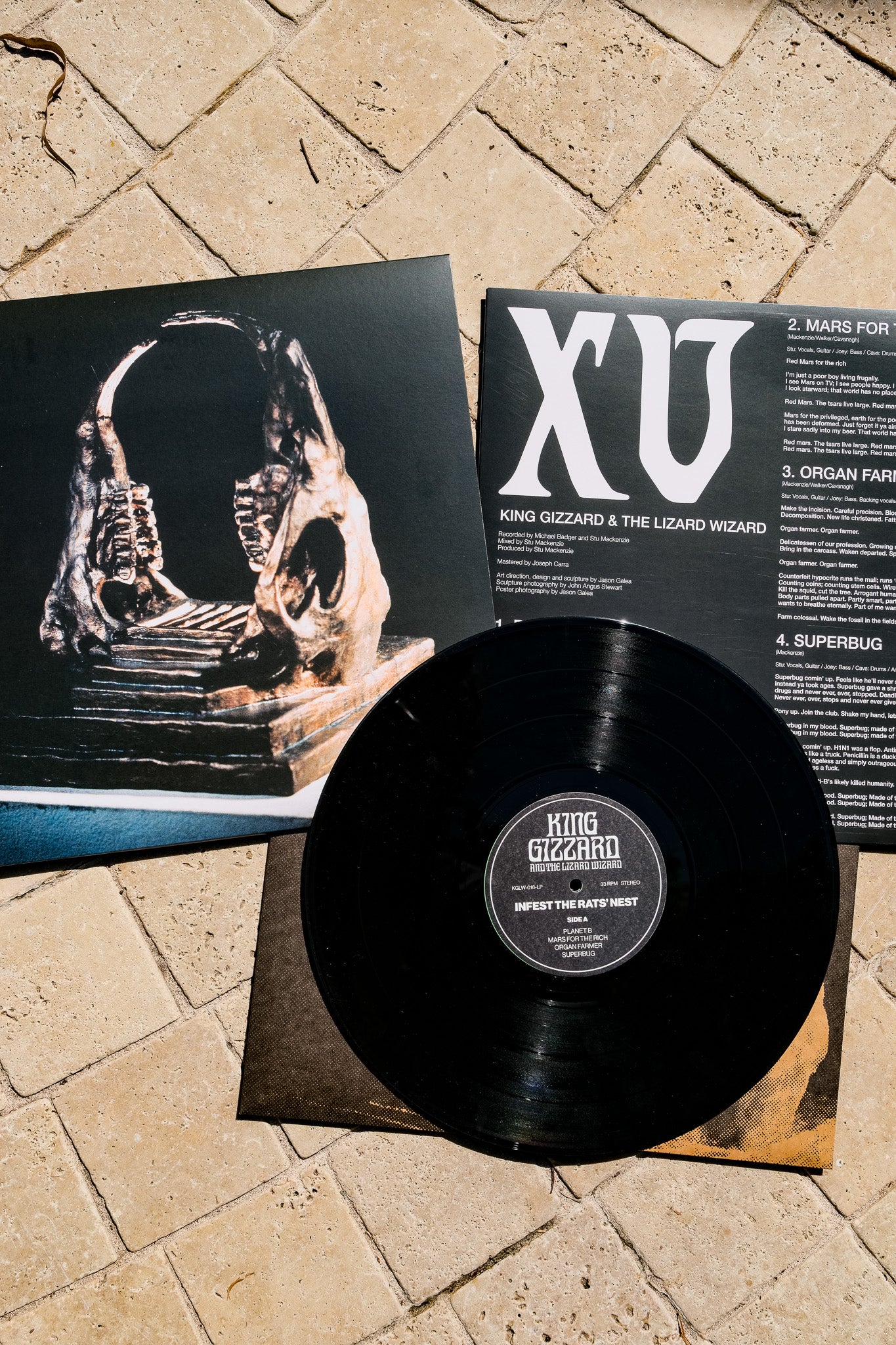 Infest The Rats Nest