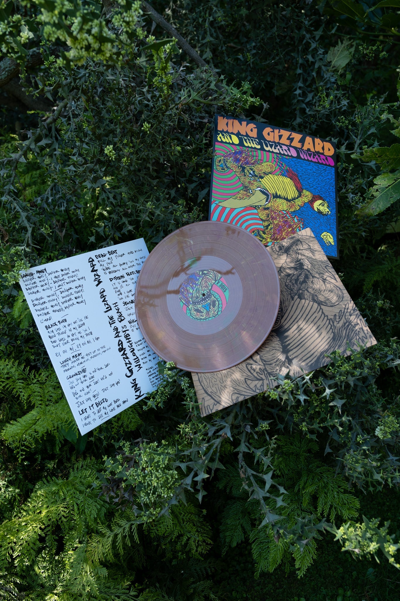 5 x Willoughby's Beach