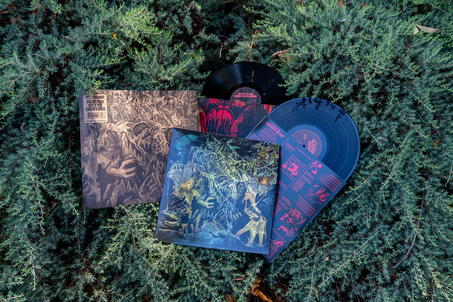 Murder Of The Universe