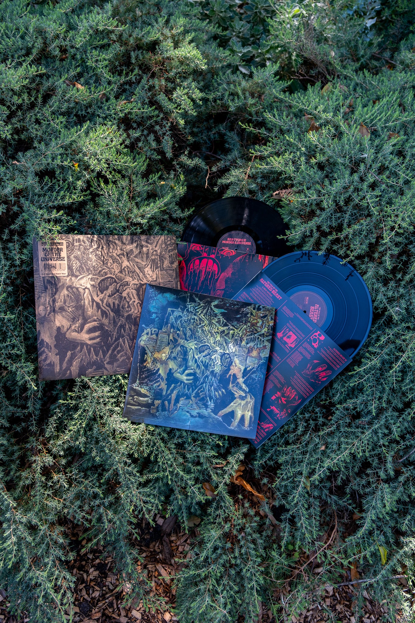 Murder Of The Universe