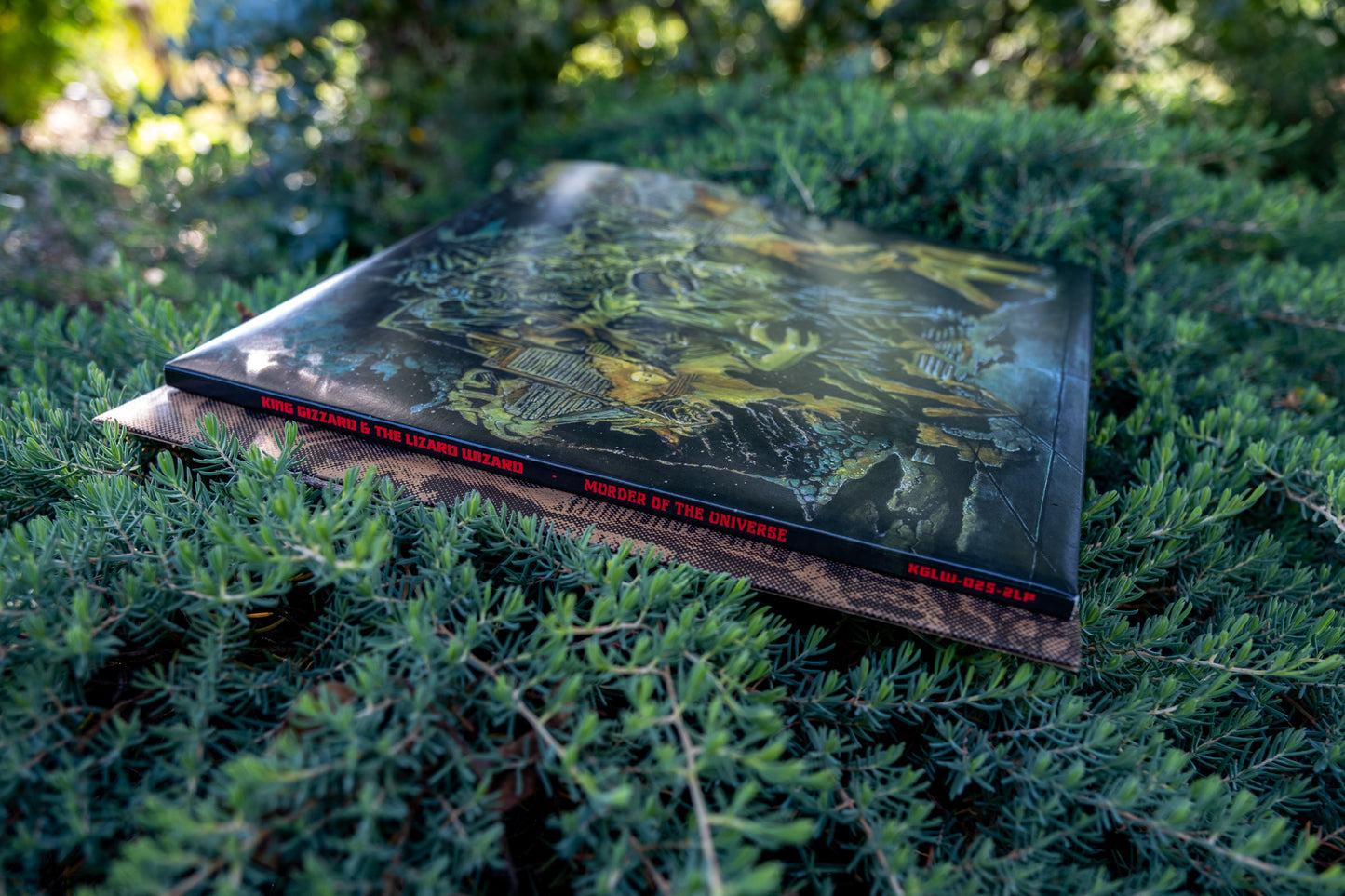 Murder Of The Universe