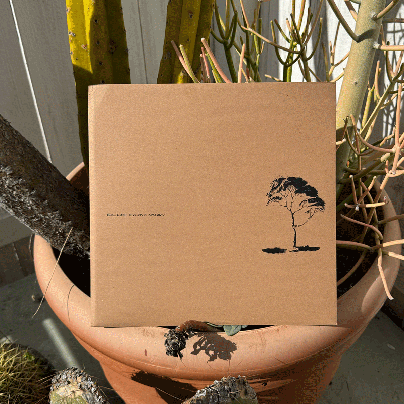 Blue Gum Way